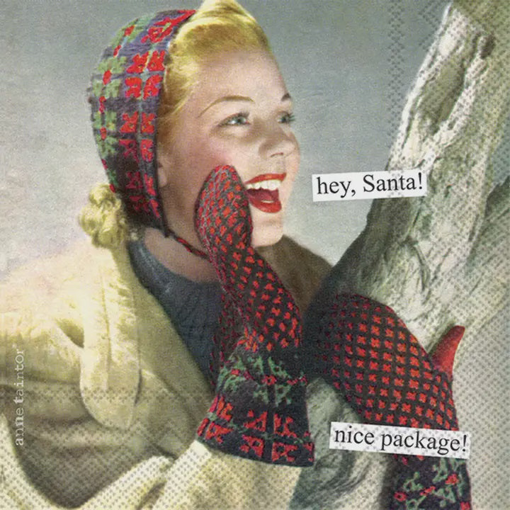 Anne Taintor Package Christmas Cocktail Napkin