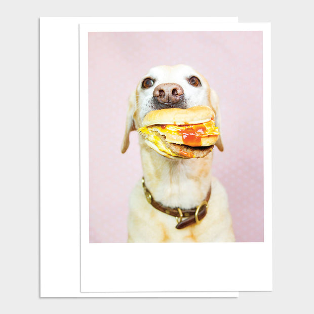 Dog with Burger Happy Birthday Greeting Card