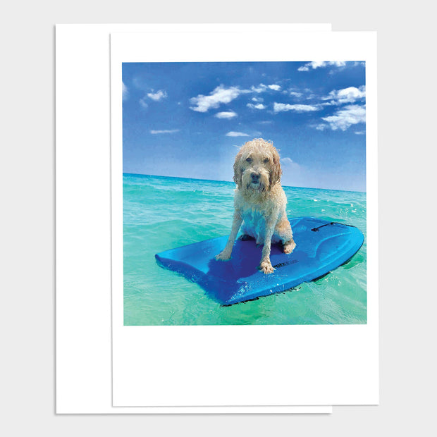 Dog on Boogie Board Happy Birthday Greeting Card
