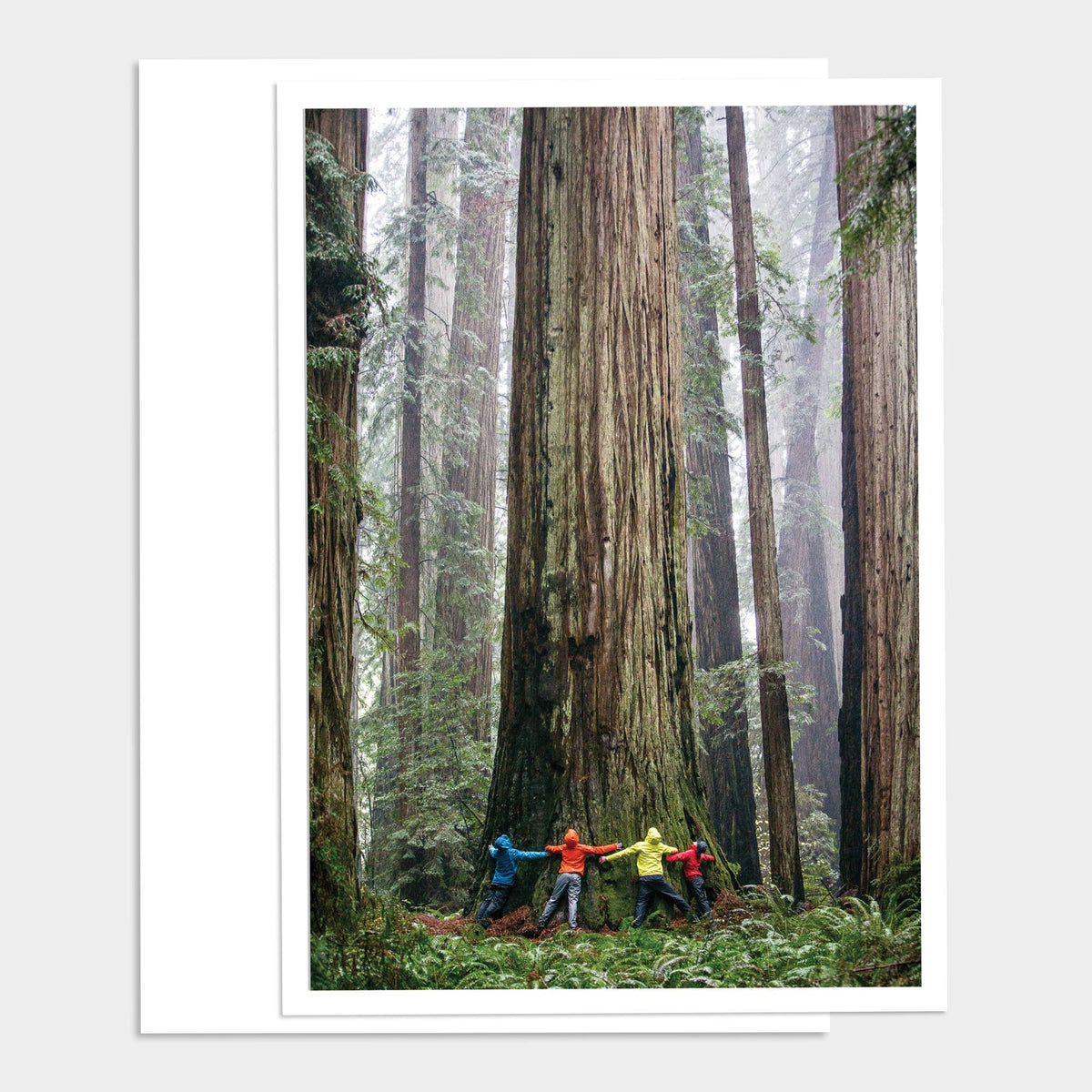 Tree Hugging Happy Birthday Greeting Card