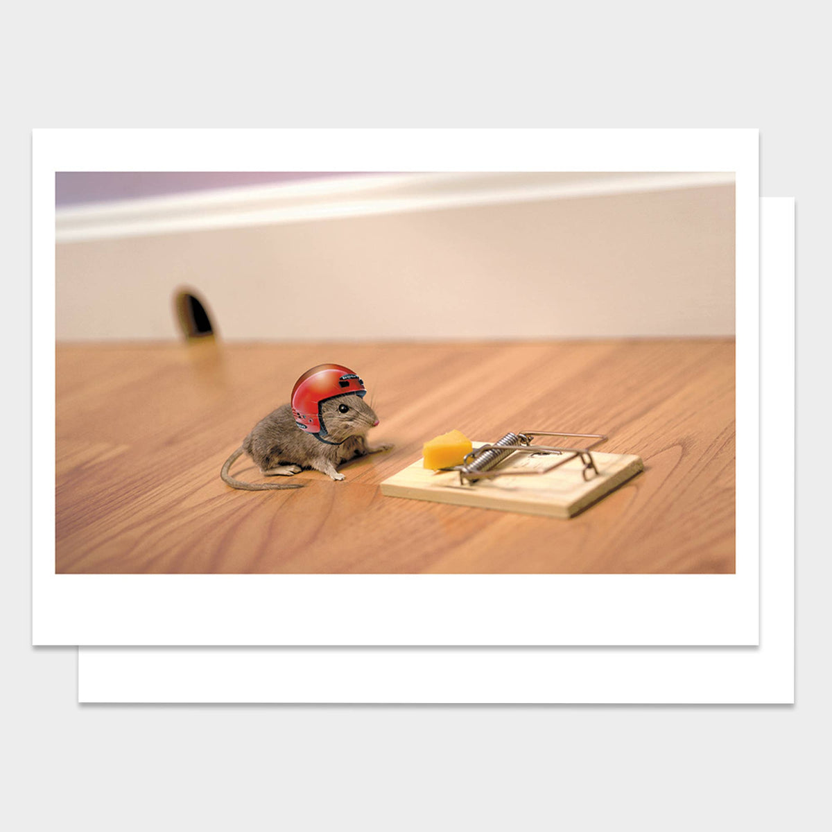 Mouse & Helmet Happy Birthday Greeting Card