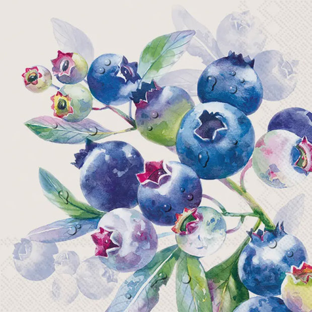 Blueberry Fruits Cream