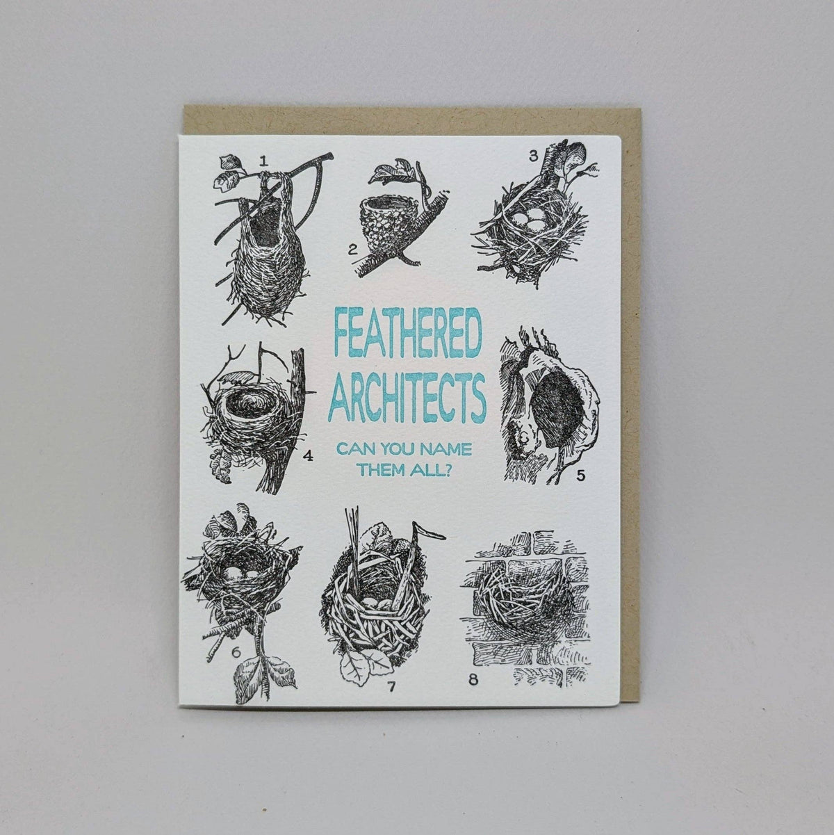 Feathered Architects