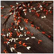Orange & White Berry Garland