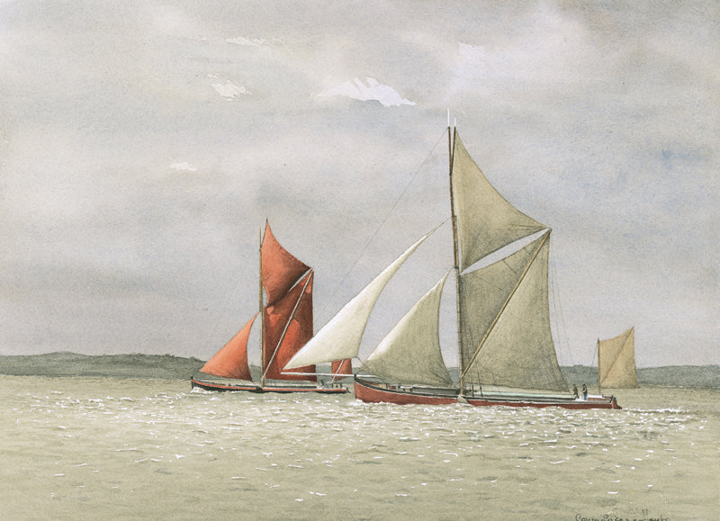 HANKS COLORED PRINTS