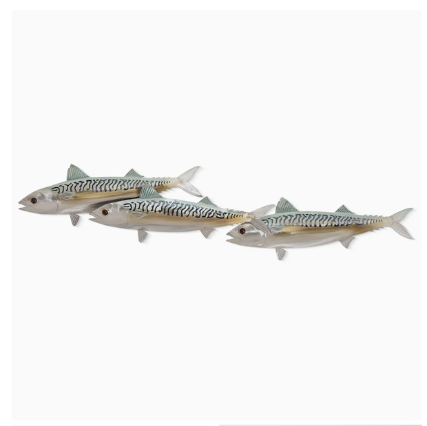 Atlantic Mackerel Triple Wall Art