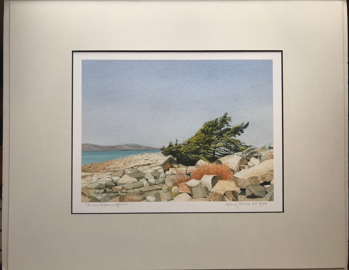 HANKS COLORED PRINTS