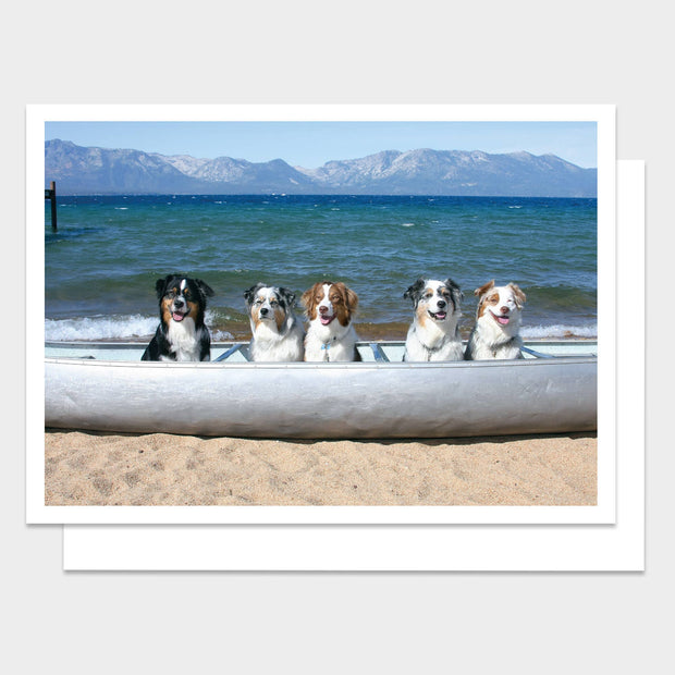 Dogs in Canoe Happy Birthday Greeting Card