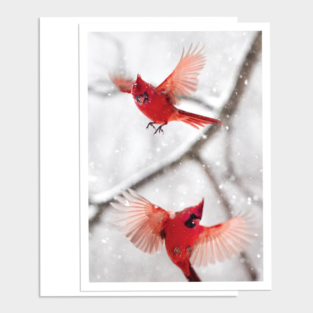 Cardinals in Flight Christmas Greeting Card