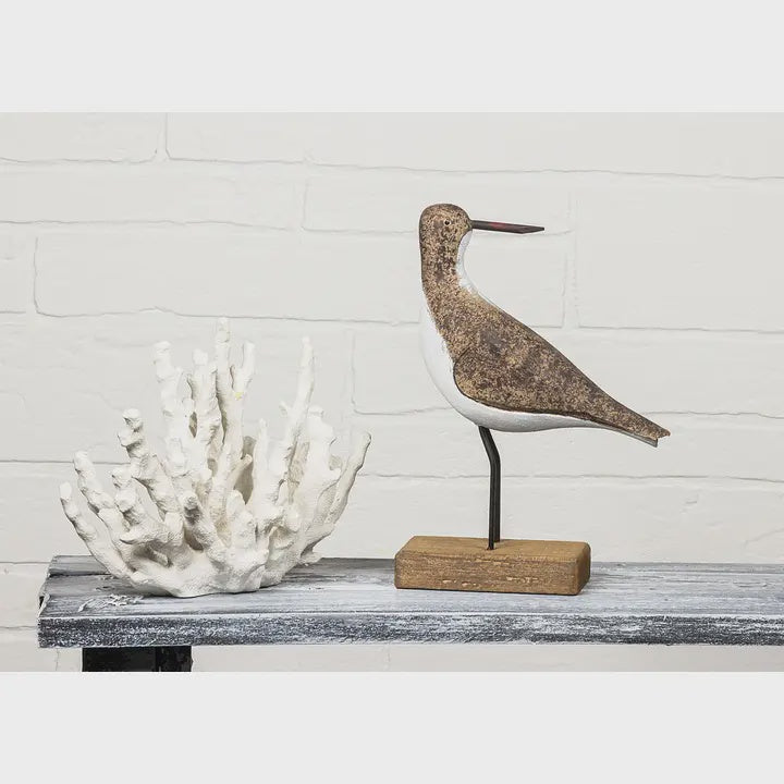 Medium Tall Slender Bird