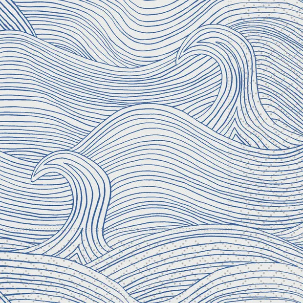Wind Waves