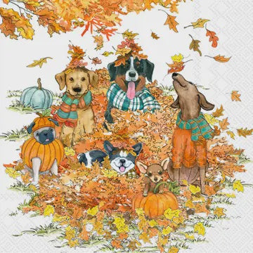 Autumn Dogs Fall Autumn