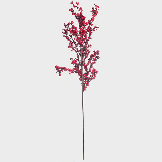 Red Berry Cluster